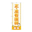 のぼり GNB-2519 正・准看護師 募集【送料無料】(3)