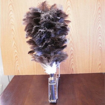 石塚羽毛 日本製 オーストリッチ ミニ毛ばたき GLD105【送料無料】