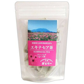 エキナセア茶 ティーバッグ(1g×10個入)×10セット【送料無料】