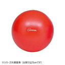 トーエイライト ピラティスボール 赤 250 H-7352 622065【送料無料】|詳細画像
