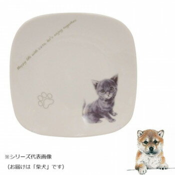 わんコレスクエアプレート柴犬wa-...