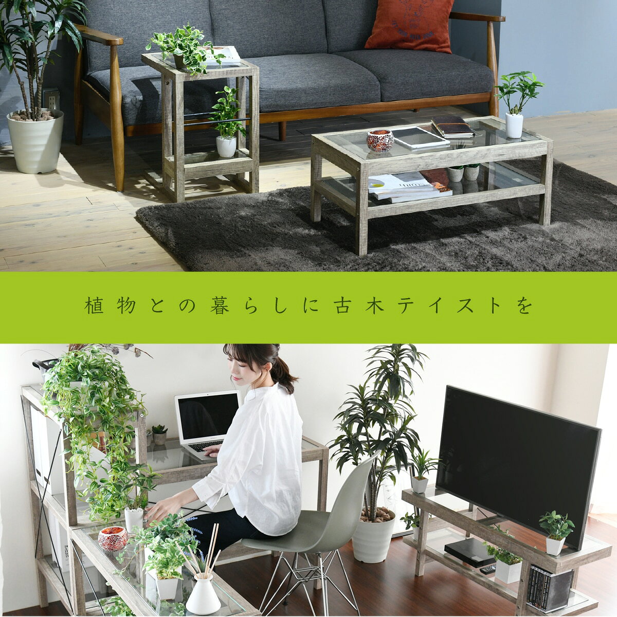 ＼今だけ!エントリーでポイント5倍/グリーンインテリア スタンドミラー 姿見 ガラス インテリア 幅100 グリーン 観葉植物 シャビー 多肉植物 棚 ラック おしゃれ シンプル 一人暮らし 木製 古材 ナチュラルインテリア 古材風 室内 全身 鏡 高さ [2]