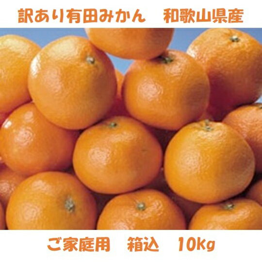 ご家庭用 粗選別 外成 完熟 有田みかん 10kg 訳あり フルーツ 果物 送料無料 ミカン くだもの 産地直送 温州みかん 美味しい 和歌山 和歌山県 有田 自宅用 不揃い