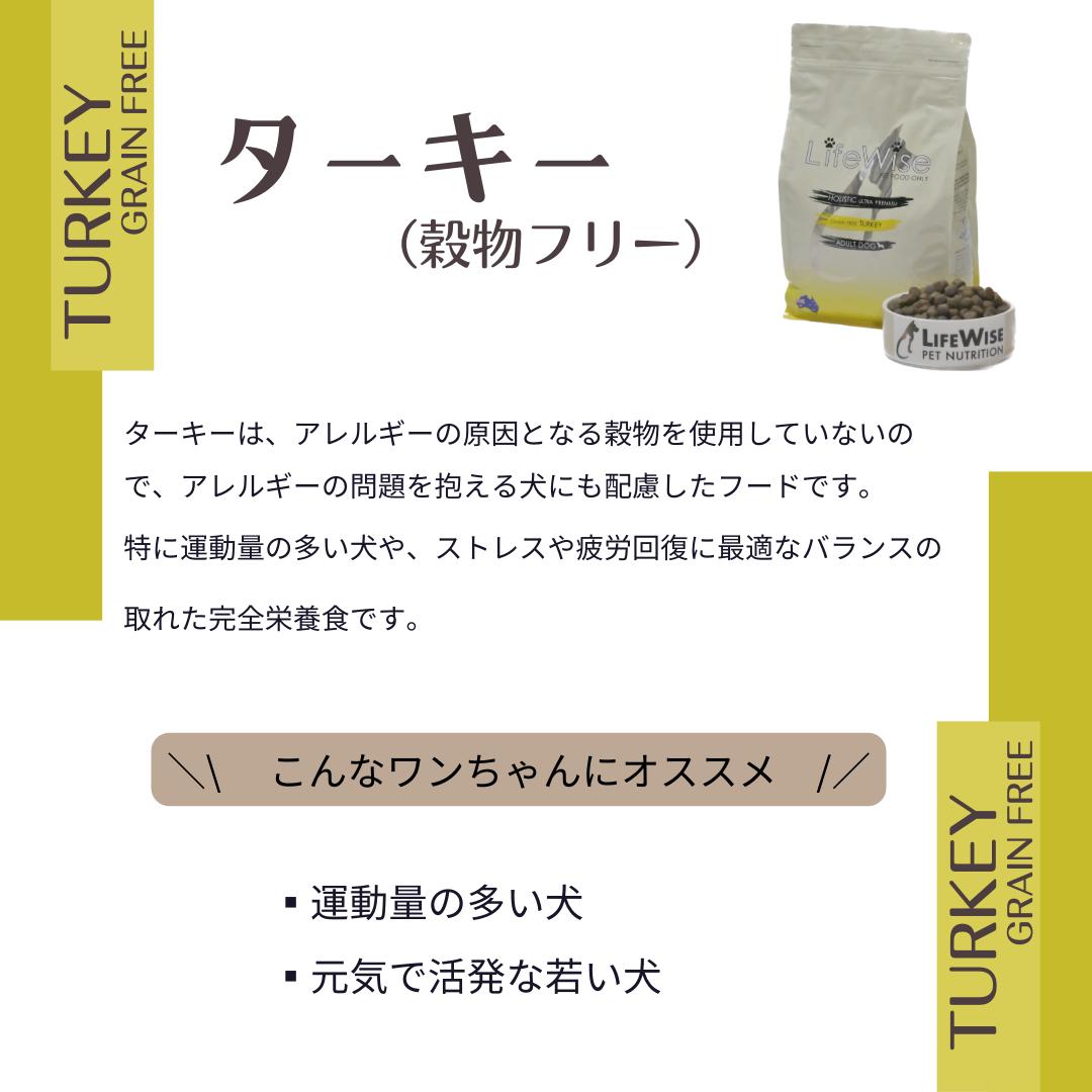 ドッグフード　ターキー　腸内環境　腸活　食いつき　穀物フリー　穀物不使用　アレルギー　小型犬　ドライ　グレインフリー 　七面鳥 　ターキー　シニア　おすすめ　無添加　ナチュラル　サンプルあり　お試し　小粒　ローテーション　総合栄養食　ライフワイズ