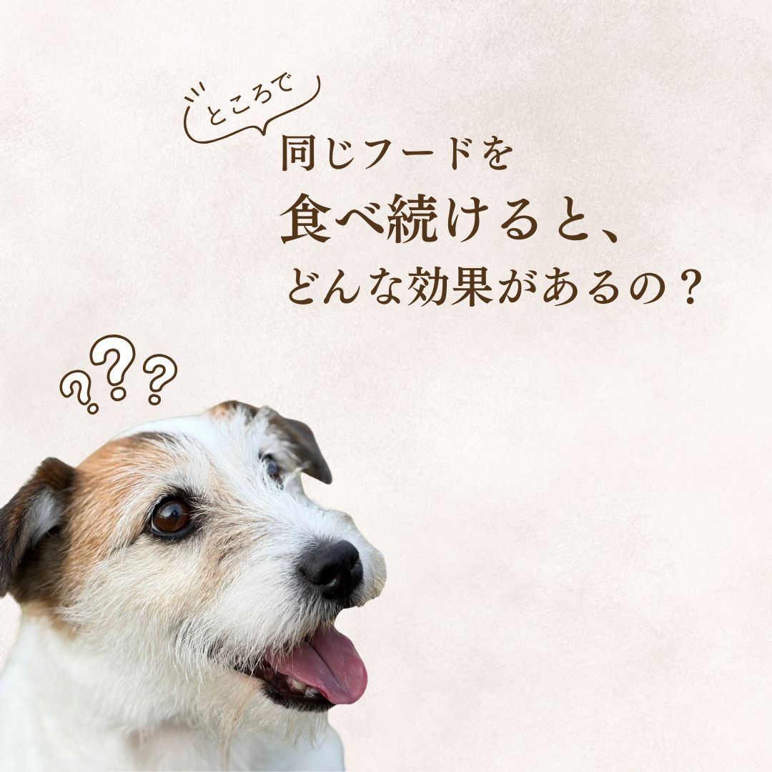 9月限定価格【初回限定】ひと家族様1回限りの販売となります。ライフワイズ ドッグフード 食いつき 7種類 お試し サンプル 送料無料 送料込み カンガルー オーストラリア産 無添加 おすすめ 腸内環境 腸活 消化に良い 小型犬 人気 ドライ グレインフリー 穀物不使用 lifewise-10000031 ライフワイズジャパン サンプル画像3