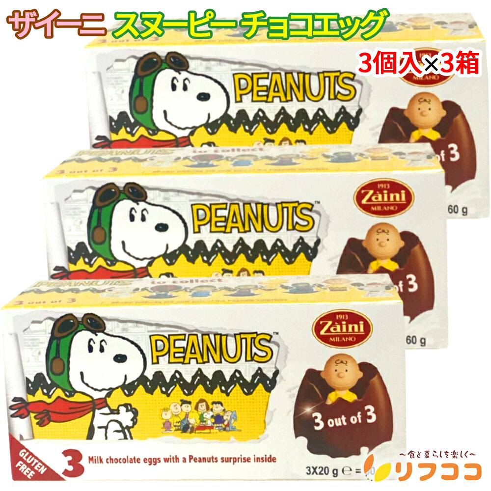 【回数制限無しのレビュー書いて10％OFFクーポン配布中♪】（メール便発送/レターパック発送）ザイーニ ..