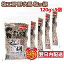 【楽天スーパーSALE期間限定 特集ページ設置中】 塩っ胡 (しおっこ) 袋入り 120g×5袋セット 塩工房 野次馬 ガーリック入り塩こしょう メール便発送