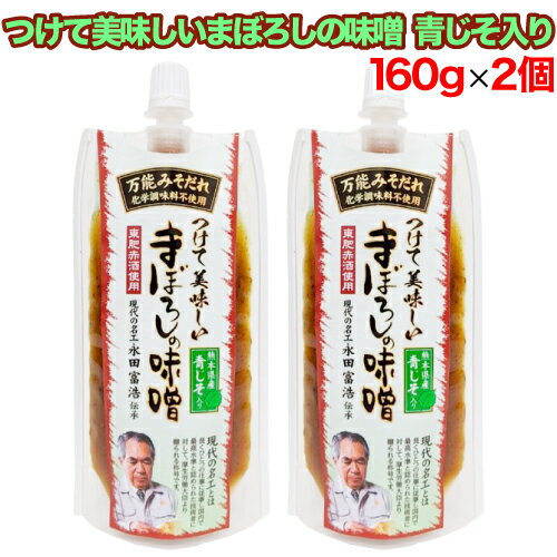 【レビューを書いて500円OFFクーポン配布中！】山内本店 つけて美味しいまぼろしの味噌 熊本県産 青じそ入り 160g×2個セット 万能味噌だれ チューブタイプ 現代の名工