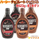 ハーシー シロップ 2種 チョコレート キャラメル 1本(623g)x各2本ずつ 計4本セット ハーシーズ HERSHEYS デザート お菓子 手作り 材料 バレンタイン
