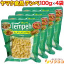 ヤマク食品 テンペ 100g×4袋セット リニューアル品 大豆 発酵食品 インドネシアの伝統的食品(メール便発送)