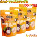 カンナ マンゴスチングミ 100g×3個セット 動物性由来のゼラチン不使用 グミキャンディー お菓子 KUNNA