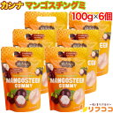 カンナ マンゴスチングミ 100g×6個セット 動物性由来のゼラチン不使用 グミキャンディー お菓子 KUNNA