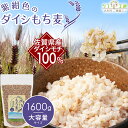 佐賀県産100% もち麦 国産 ダイシモチ 紫紺色のダイシもち麦 1600g リフ工房 もちむぎ 国産 もち 麦 麦飯 麦ごはん 麦ご飯 押麦 チャック袋付き スタンドパック入り