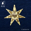 業務用 イルミネーション モチーフ 2D クリスマス 星 スター 屋外 防雨 LED セパレーツギャラクシー 2枚羽 ウォームホワイト (大)