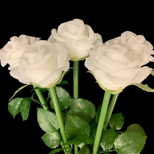 ��̳�� ����ߥ͡������ ������� ���ꥹ�ޥ� ���� �ɱ� �� 100�ܥ��å� �ե륫�顼 LED �ե� ������