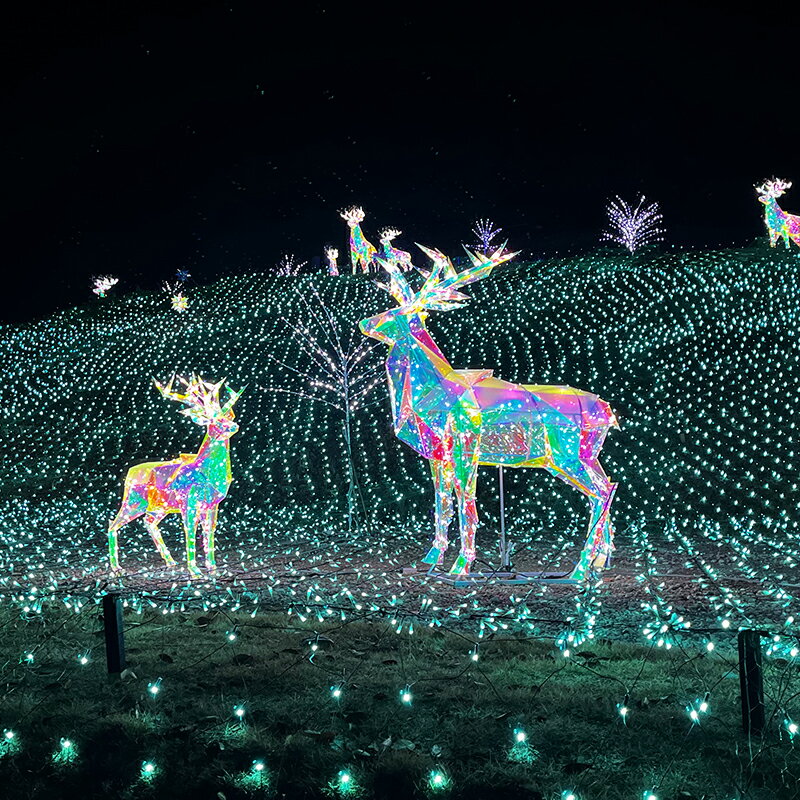 ��̳�� ����ߥ͡������ �緿������� 3D ���ꥹ�ޥ� ���� �ɱ� LED �ɥ꡼�ॷ�㥤�� �ȥʥ��� (��)