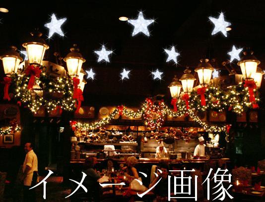 業務用 イルミネーション モチーフ 3D 点滅可能 クリスマス 屋外 防雨 コントローラー付 星 LED クリスタルグロー スター(小) レッド