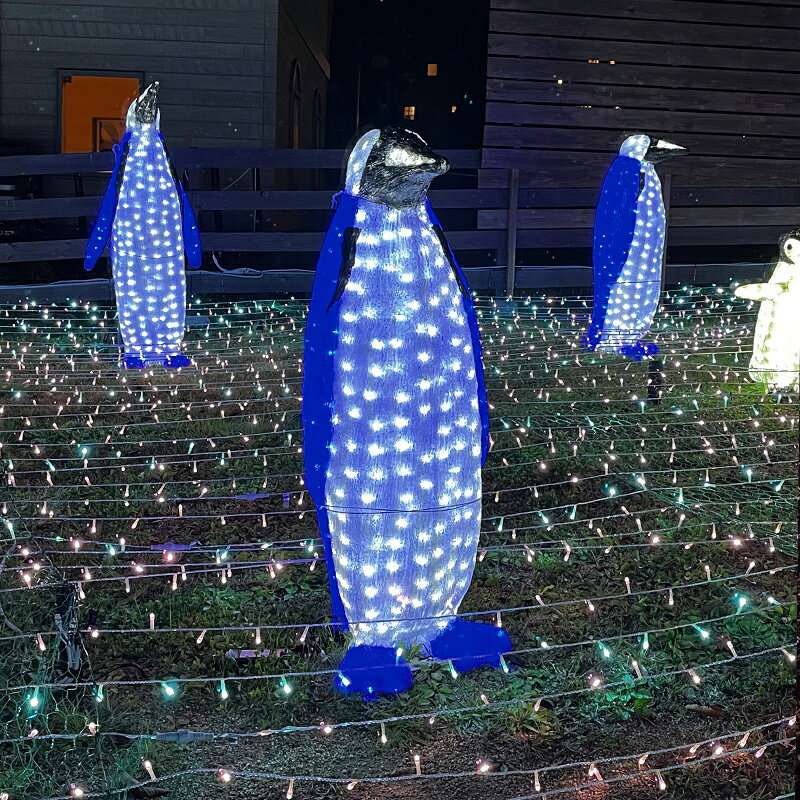 業務用 イルミネーション モチーフ 3D クリスマス　水族館 屋外 防雨 LED 動物 クリスタルグロー ペンギン B 2