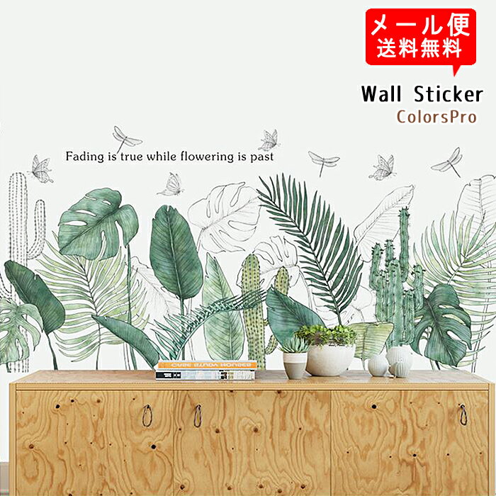 륹ƥå ܥƥ 󥹥ƥ ĳ ȥ ̥饹 ʪ տʪ ꡼ դä   Ϥ ɾ ե  ƥꥢ Wallsticker 륷 륷 ᡼