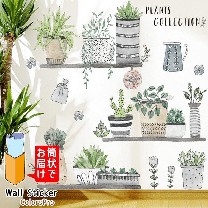 륹ƥå ʪ 饹   տʪ 뤫襤 ʥ ȥ꡼ ̲ Ϥ ɾ ե ƥꥢ Wallsticker 륷 륷