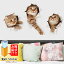 륹ƥå ǭ ͤ ưʪ ȥå ɤ ӽФ ȥ ⤷ 3D Ϥ ɾ ե ƥꥢ Wallsticker 륷 륷