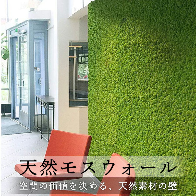 天然 モスウォール 壁面装飾 法人 店舗装飾 壁面装飾 オフィス カフェ向け 北欧産レインディアモス 40×60cm 4枚 *壁面緑化 パネル* ウォールグリーン