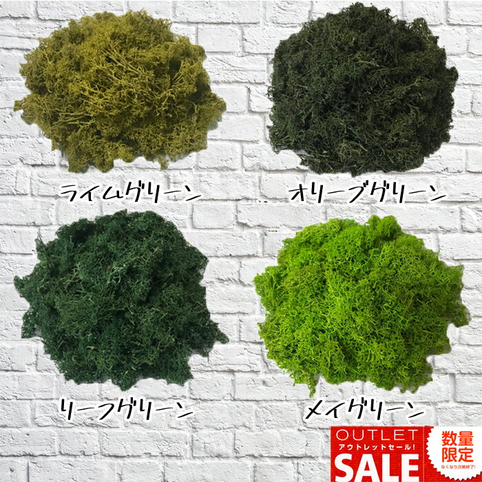 �⥹ �쥤��ǥ����⥹ 50g �����ȥ�å� �ץꥶ���֥� �ץꥶ���֥ɥե� �ե�����ɥ⥹ ���顼�⥹ ���꡼��⥹ �� *MOSSWALL* ����̵��