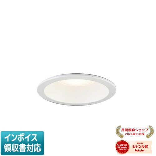 Ǽ̤[ˡ͸] EL-D0406N 1LN ɩ  饤 ɱ  100  [ EL-D0406N1LN ]