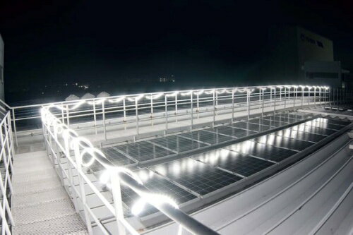 ��[¨Ǽ�߸�ͭ��] LTP-10DS HATAYA �ϥ��� LED�ơ��ץ饤�� ξ��ȯ�������� 10�᡼�ȥ륻�å� [ LTP10DS ]