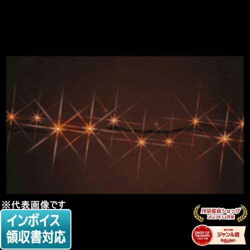 [法人限定] SJ-NH05-10DD JEFCOM ジェフコム LEDストリングNH ニューハイグレードタイプ [ SJNH0510DD ]