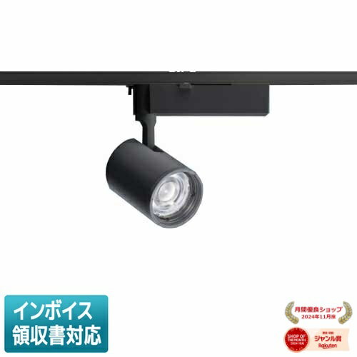 [法人限定] NTS02503B LE1 パナソニック 配線ダクト取付型 電球色 スポットライト 配光調整機能付 [ NTS02503BLE1 ]