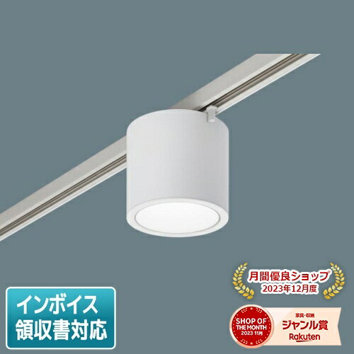 [法人限定] NCN29303W LE1 パナソニック ※受注品 スポットライト 天井直付 配線ダクト取付型 電球色 小型シーリングライト 拡散 光源遮光角30度 [ NCN29303WLE1 ]