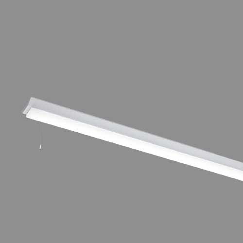 [法人限定] LEKT412403PN-LS9 [ LEKT412403PNLS9 ] 東芝 TENQOO 40W