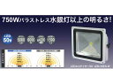 日動工業 LEDエコナイター 50 昼光色 LEN-50D-ES-W