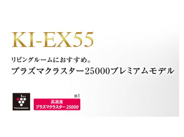 シャープ　加湿空気清浄機/空気清浄機　KI-EX55-T　ブラウン