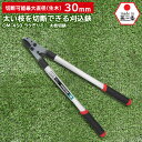 ラクぎりミニ太枝切鋏450ハンドル OM-450 鋼典 かねのり カネノリ 五十嵐刃物工業 園芸 ガーデニング 剪定 枝切り鋏 刈り込み鋏 刈込鋏 はさみ 手入...