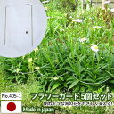 【フラワーガード5個セット No.405-1】 GREENGARDEN 支柱 ガーデニング用品 園芸用品 苗 植木 庭園 収穫 農業 緑 花 ガーデンファニチャー 小林金物 燕三条