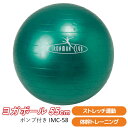 【バランスボール】 ヨガボール55cm (ポンプ付) IMC-58 【 バランスボール ジムボール エクササイズボール フィットネスボール ヨガボール ダイエッ...
