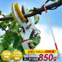 【45%引き】シリーズ累計5万本突破! 3段伸縮式高枝切り鋏 最大切断径約10mm 高枝切りバサミ アンビル刃 はさみ 剪定鋏 ガーデニング用品 枝切 ハサミ 園芸用品 庭園 軽量鋏 女性用 軽い 高枝切鋏 周年祭