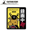 【メール便】※クーポン利用で50円OFF!※ 鹿番長ステッカー(録画中)91×103mm アウトドア・キャンプ用品 キャプテンスタッグ CAPTAIN STAG 屋外 レジャーソロキャンプ バーベキュー 正規品取扱店 パール金属