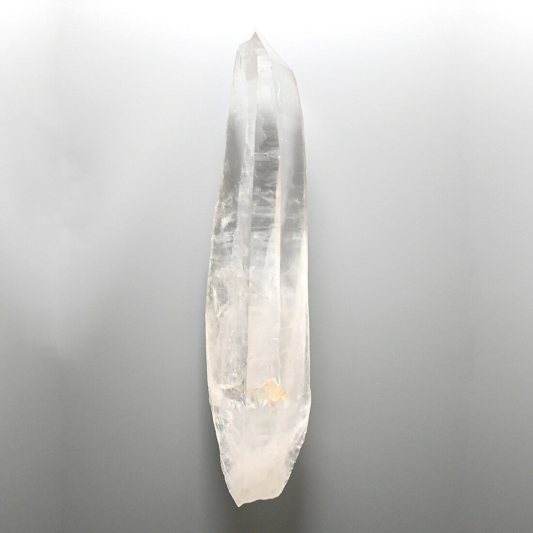 【スーパーSALE期間限定 ポイント10倍】レムリアンシード