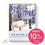 【 10%OFF : 楽天スーパーSALE 期間 】 ネイティブスピリットオラクルカード 限定ホワイトバッファローボックス 【 日本語解説書付き デニス・リン オラクルカード リーディング セルフケア 】 3,564円