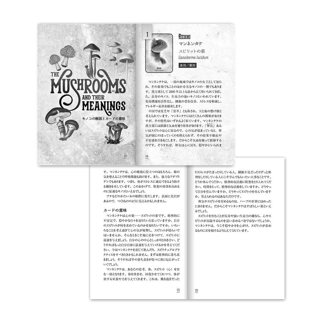 マッシュルームスピリットオラクル 【 日本語解説書付き オラクルカード ニコラ・...