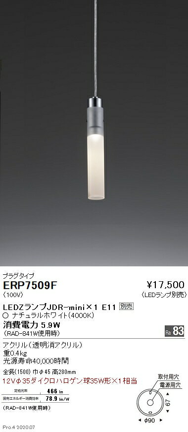 Rakuten - 【15,000円〜送料無料※】遠藤照明 LEDペンダントライト ERP7509F 電球別売 プラグタイプ (※北海道・沖縄・離島を除く)