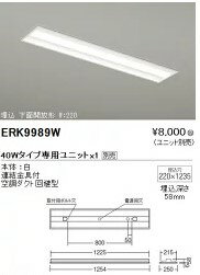 【15,000円〜送料無料※】遠藤照明 LEDベースライト本体(ユニット別売)ERK9989W (※北海道・沖縄・離島を除く)