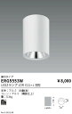 【15000円～送料無料※】遠藤照明 LEDダウンライト ERG5553Wランプ別売 工事必要(※北海道・沖縄・離島を除く)