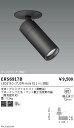 【15000円〜送料無料※】遠藤照明 LEDスポットライト ERS6917B ランプ別売 工事必要(※北海道・沖縄・離島を除く)