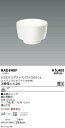 【15000円~送料無料※】遠藤照明 LED電球 RAD848F RAD-848F(※北海道・沖縄・離島を除く)