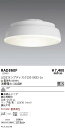 【15000円~送料無料※】遠藤照明 LED電球 RAD860F RAD-860F(※北海道・沖縄・離島を除く)