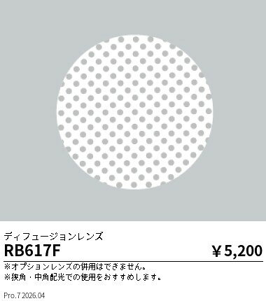 Rakuten - 【15,000円〜送料無料※】遠藤照明 DUAL　拡散フィルター RB617F (※北海道沖縄離島を除く)